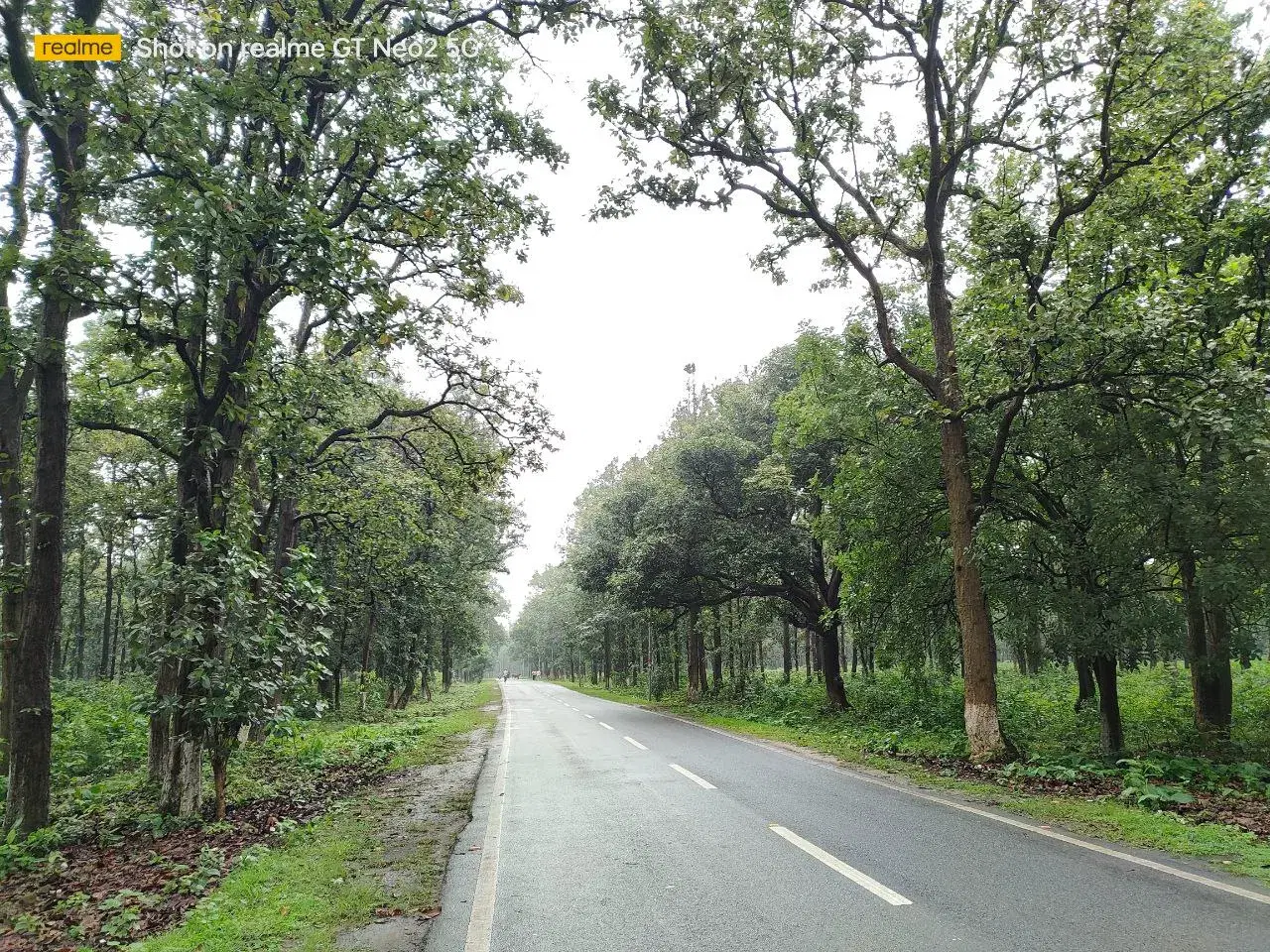 BIT Mesra Campus photo 16